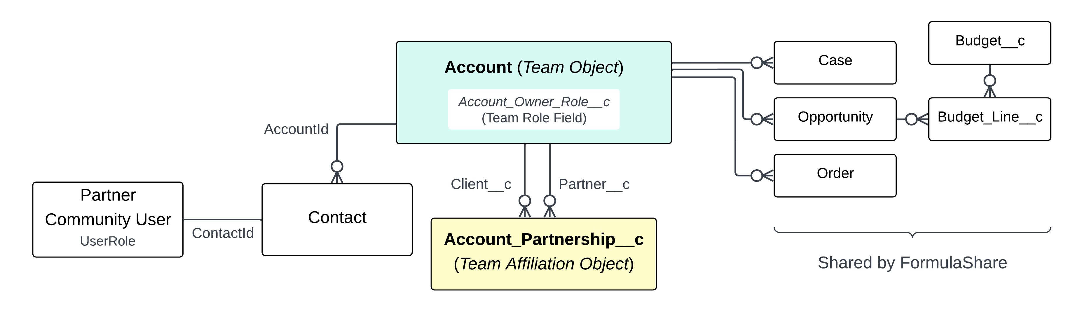 Account Partnerships data model